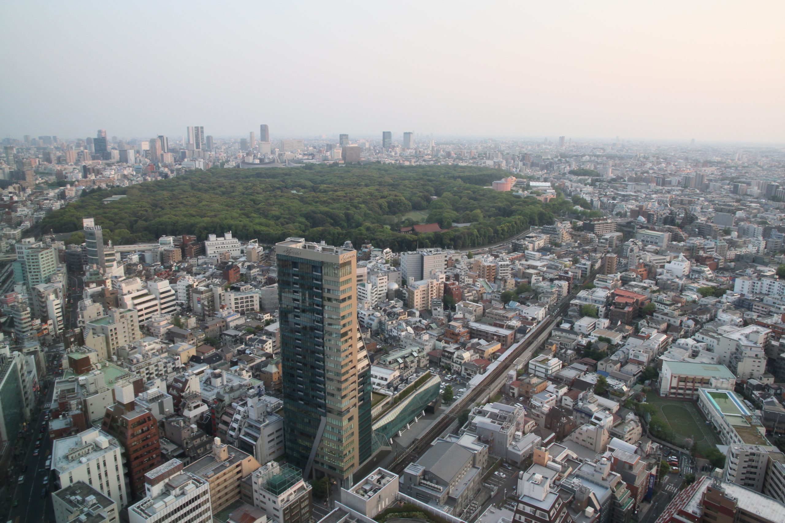 Tokyo Visit Blog Travel Get Lost Guide Image