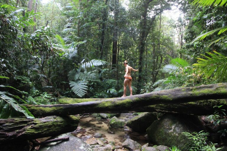 Must-know tips for exploring Mossman Gorge