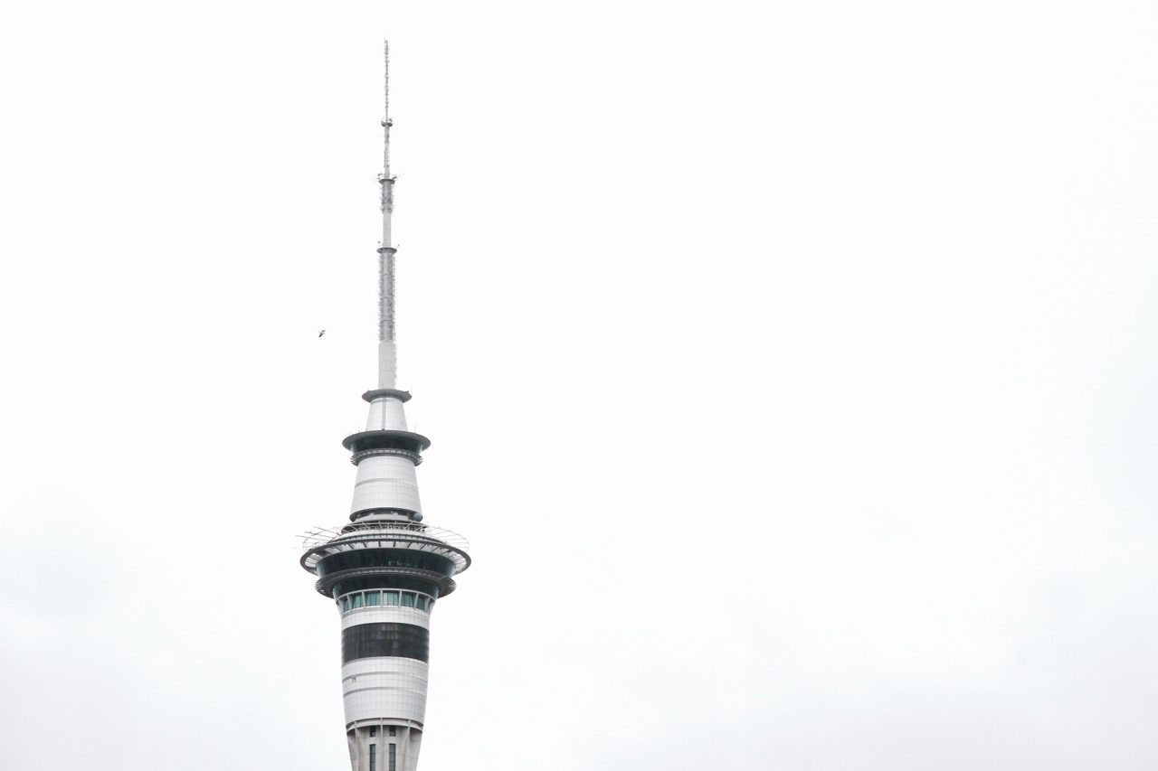 How to spend 24 hours in Auckland 