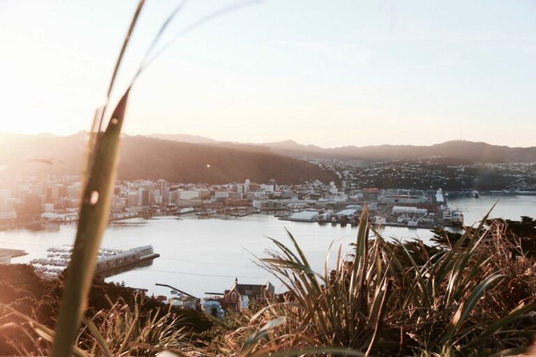 How to spend one day in Wellington