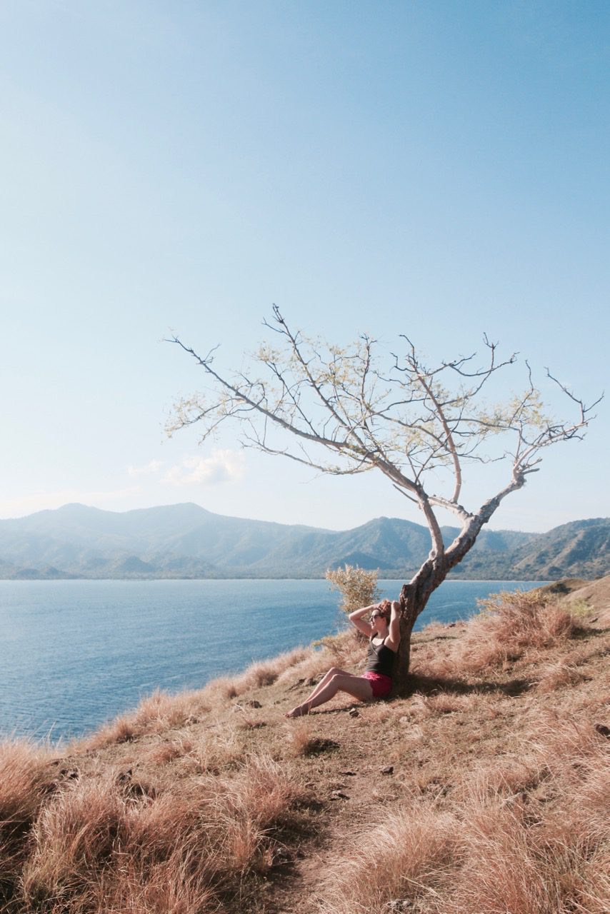 Everything you need to know about visiting Komodo Island