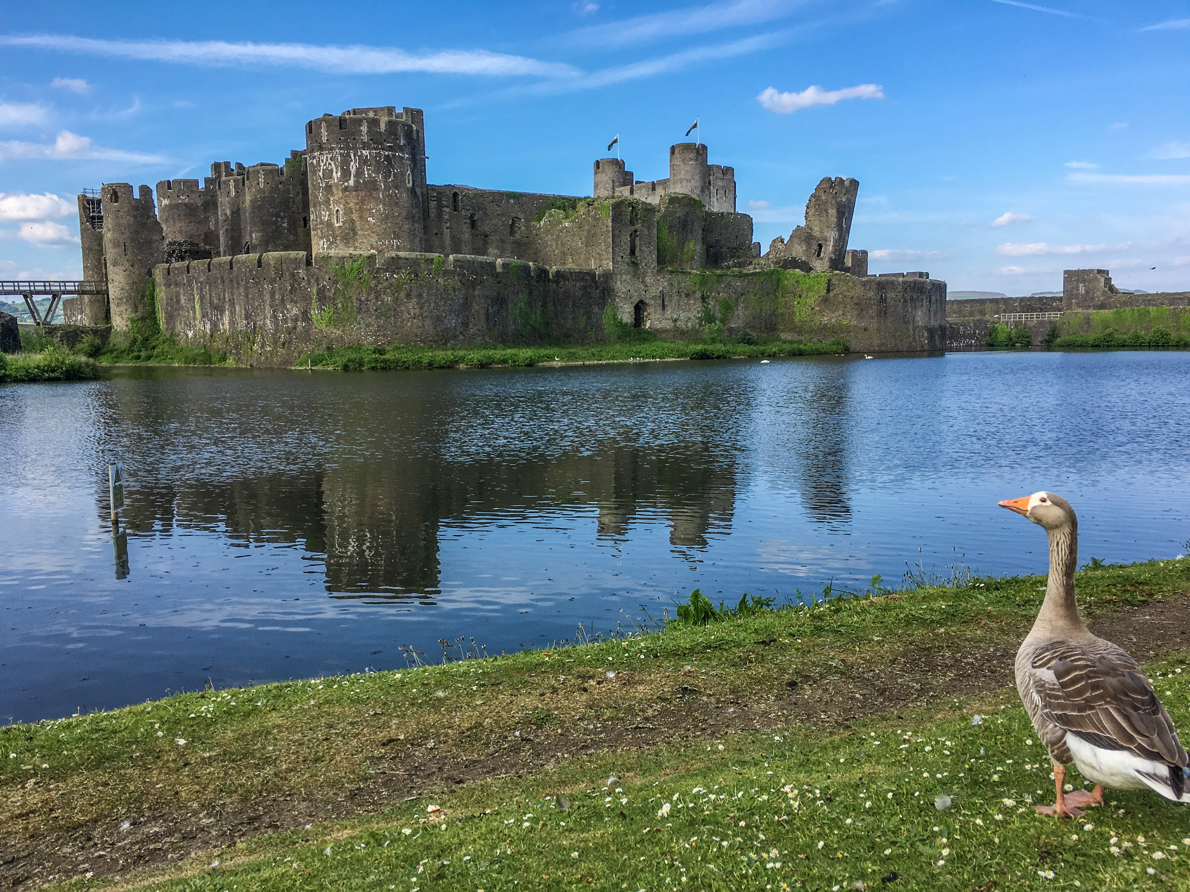 What a view of Caerphilly Castle