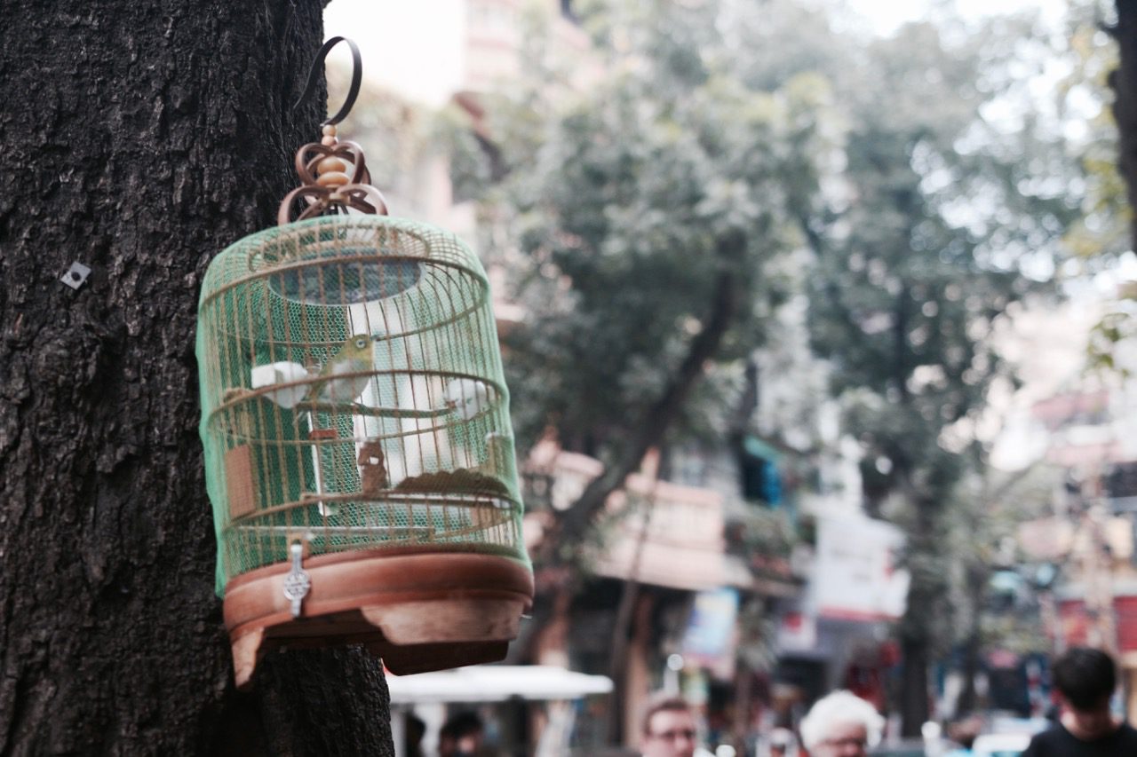 The essential first-timers guide to Hanoi