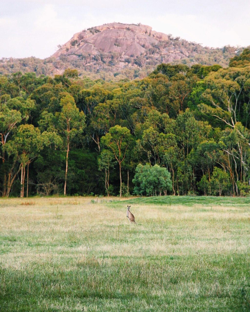 The Southern Queensland Country escape you need to know about...