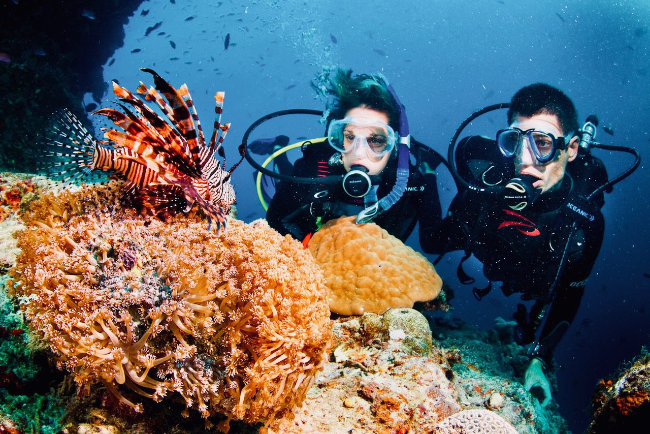 13 of the best ways to see the Great Barrier Reef
