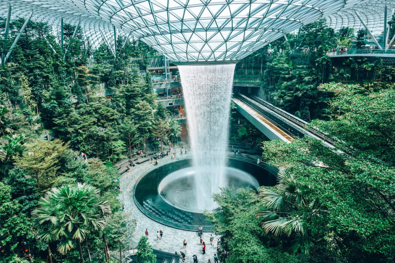 Singapore: New Jewel Changi Airport is a treat for jungle lovers [PHOTOS]