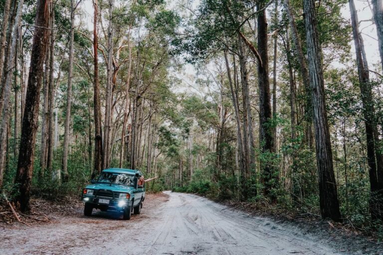 26 Absolutely awesome things to do on K’gari (Fraser Island)