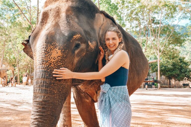Best things to do in Phuket: Green Elephant Sanctuary Park