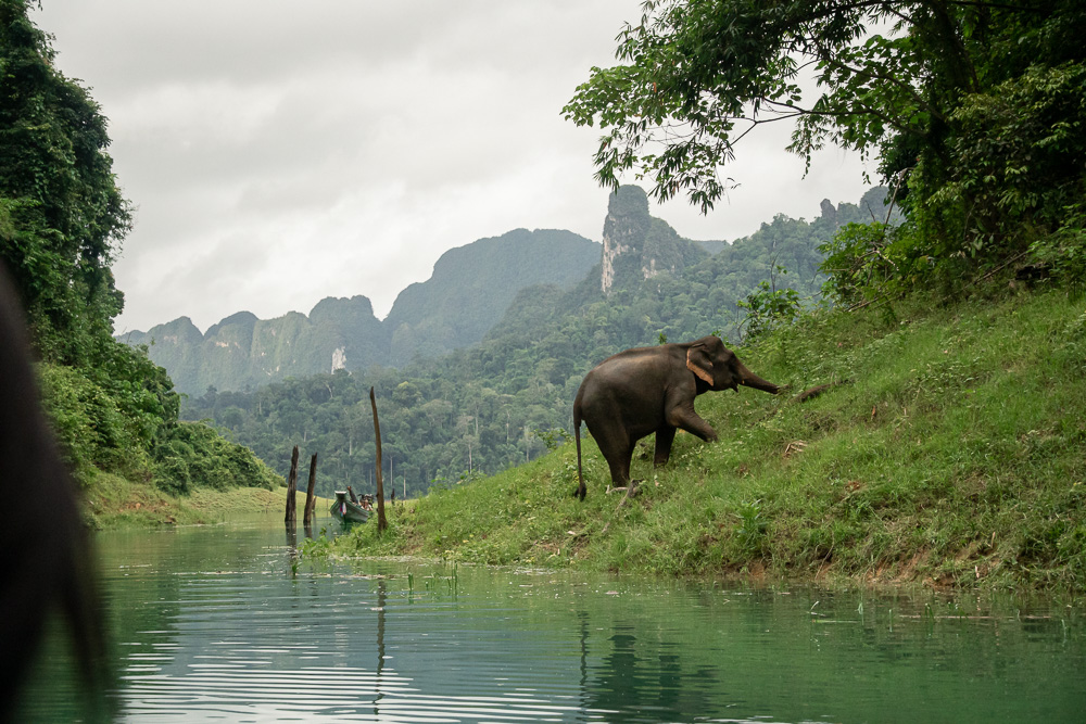 Khao Sok guide: staying at 360 issara Floating Resort 24