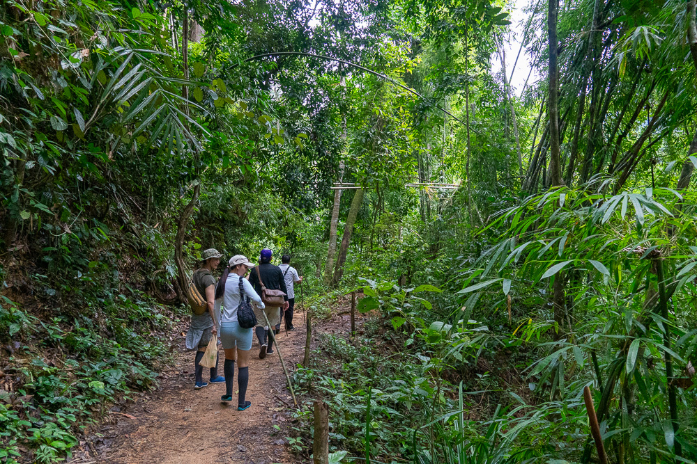 Khao Sok guide: staying at 360 issara Floating Resort 31